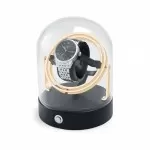 Astronomy Watch Winder - Gold