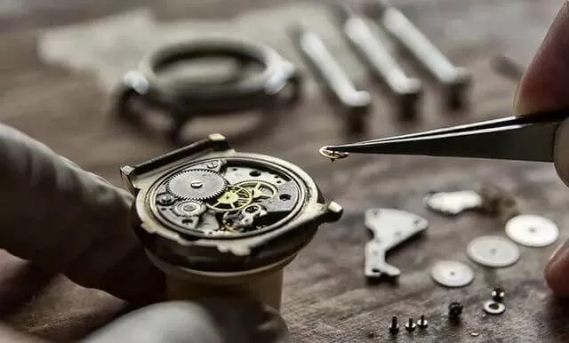 Maintain your watch