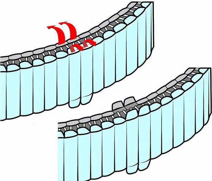 pull the edge of the surface of the watch strap apart