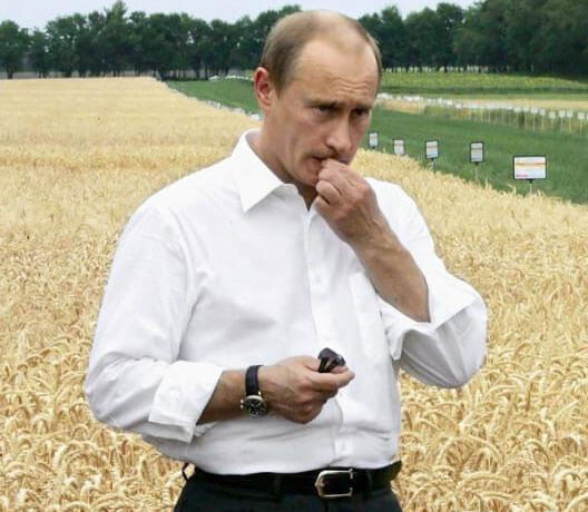 Poutine