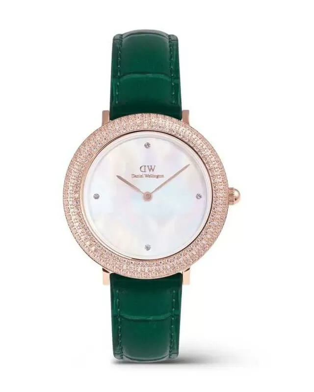 Gradation Dial Watch