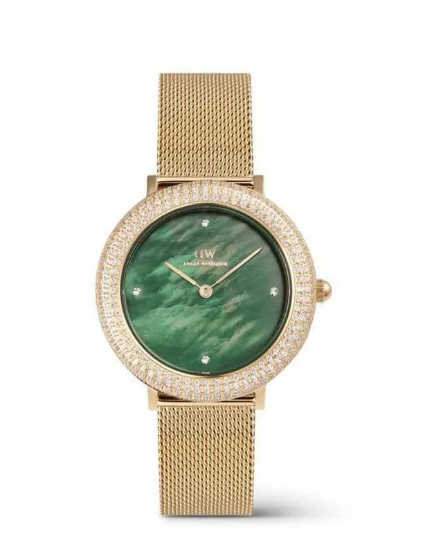 Gradation Dial Watch