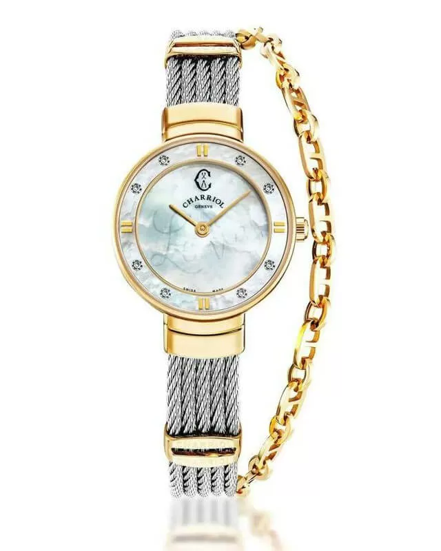 Gradation Dial Watch