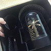 gyro watch winder