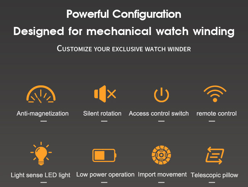 Remontoir intelligent Premium 4 montres avec verrouillage par empreinte digitale