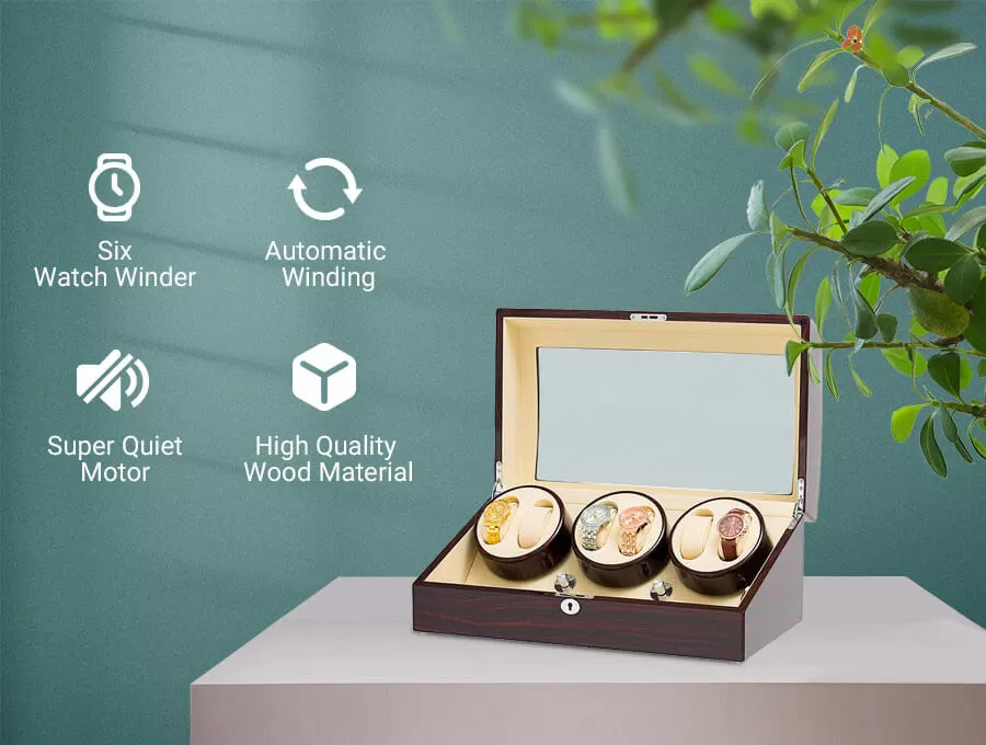 Ebony Six Pieces Watch Winder With Beige Interior